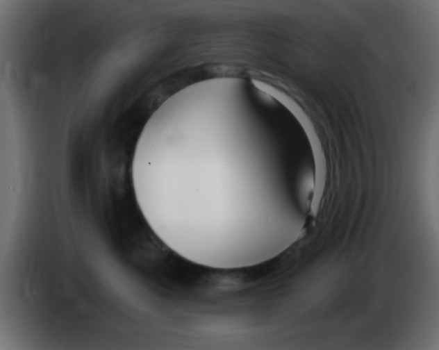 X0000083040525200703022051