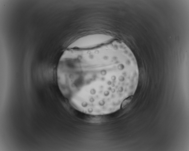 X0000083040527200703022051