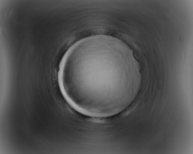 X0000083040528200703022051