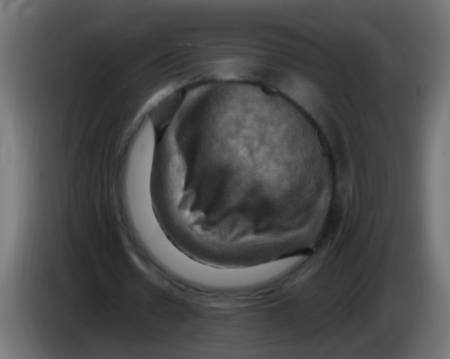 X0000083040530200703022051