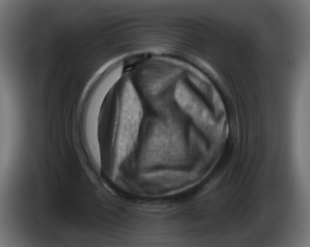 X0000083040532200703022051