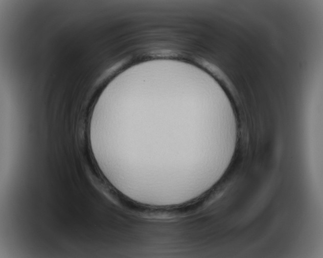 X0000083040533200703022051