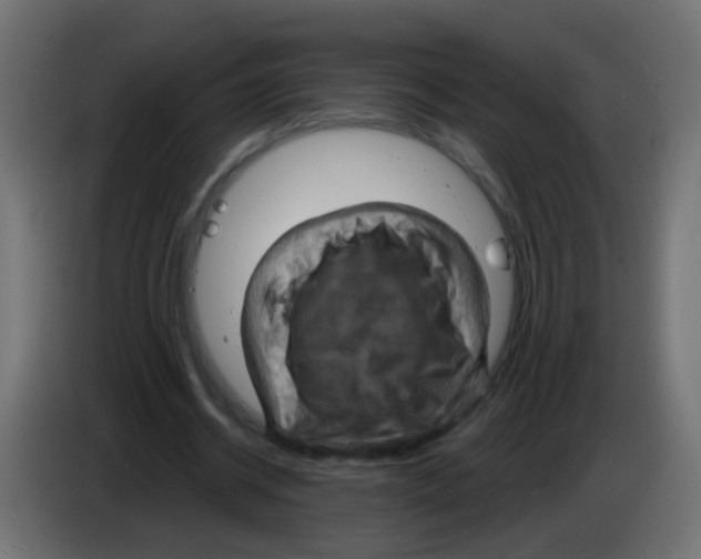 X0000083040534200703022051