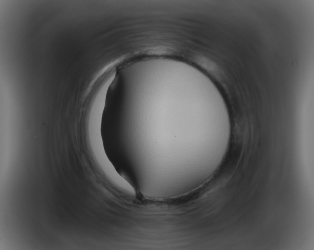 X0000083040535200703022051