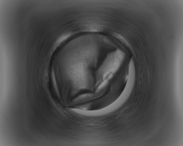 X0000083040536200703022051