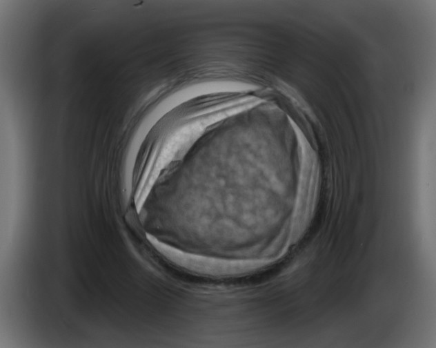 X0000083040538200703022051