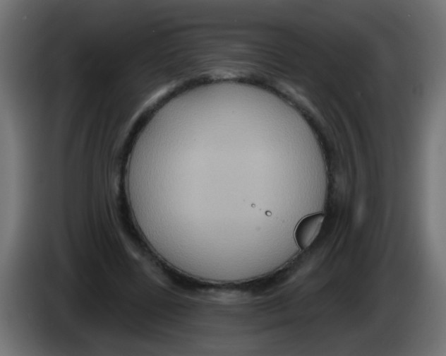 X0000083040539200703022051