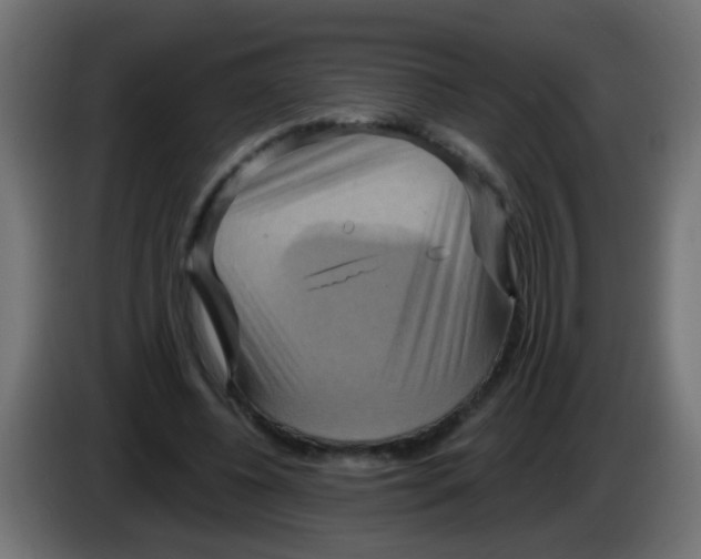 X0000083040540200703022051