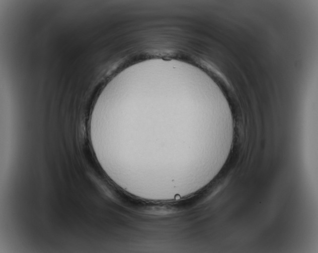 X0000083040541200703022051