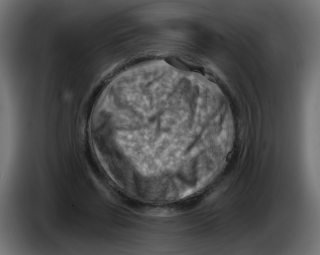 X0000083040542200703022051