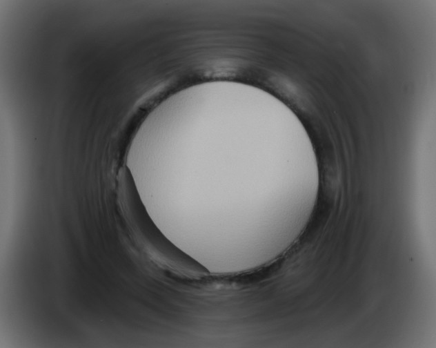 X0000083040543200703022051