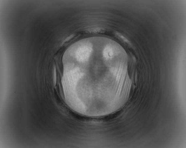 X0000083040546200703022051