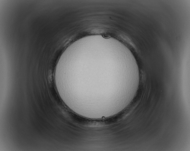X0000083040549200703022051