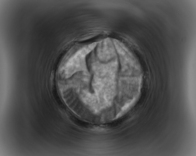 X0000083040550200703022051