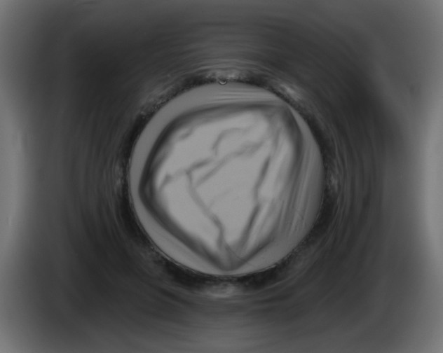 X0000083040551200703022051