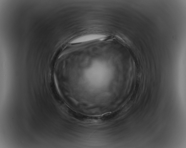 X0000083040552200703022051