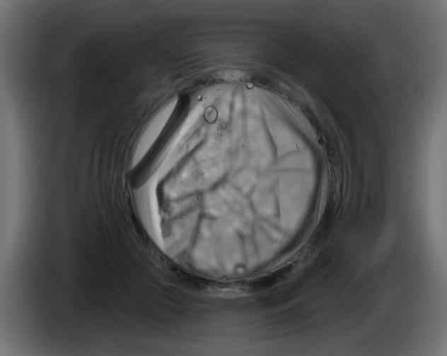 X0000083040553200703022051