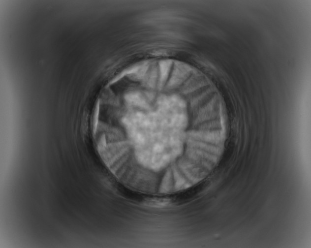 X0000083040554200703022051