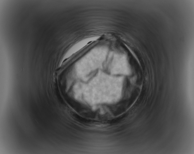 X0000083040555200703022051