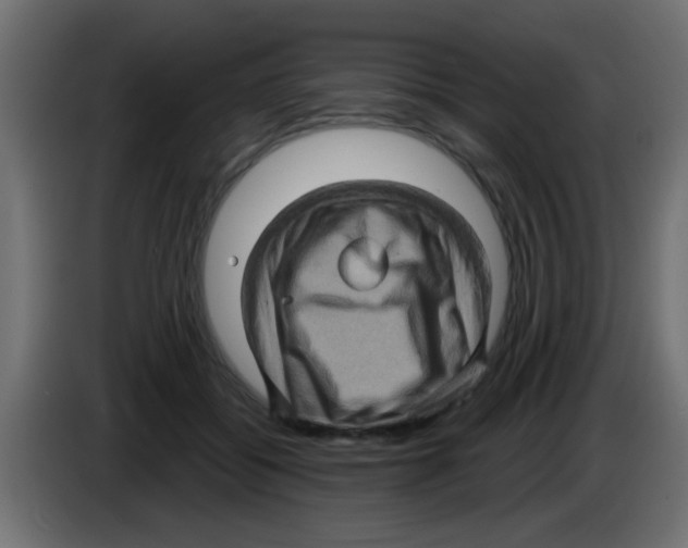 X0000083040556200703022051