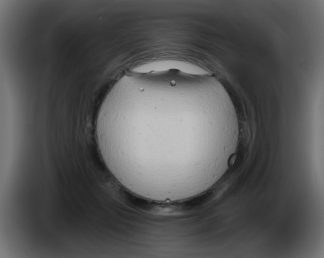 X0000083040557200703022051