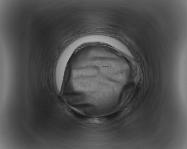 X0000083040558200703022051