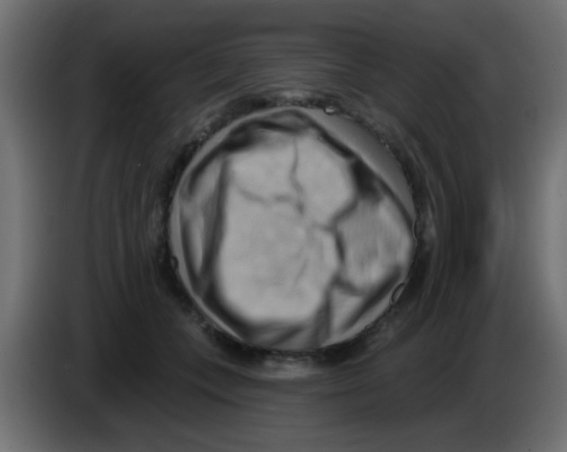 X0000083040559200703022051