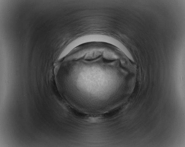 X0000083040560200703022051