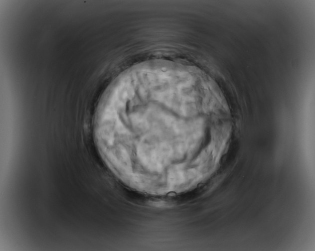 X0000083040561200703022051