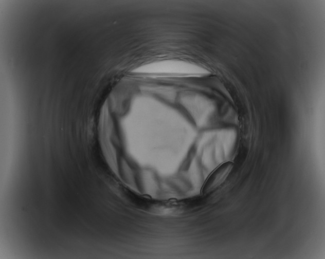 X0000083040563200703022051