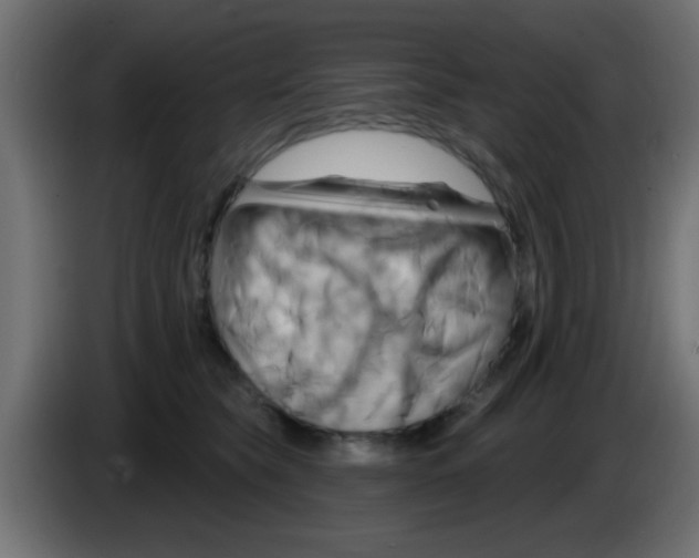 X0000083040565200703022051