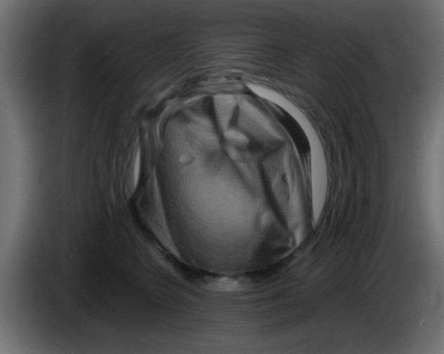 X0000083040566200703022051