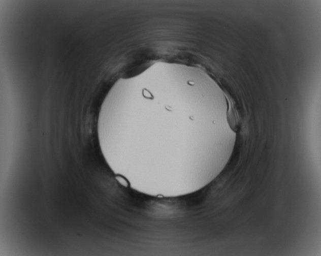 X0000083040567200703022051