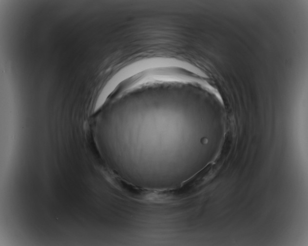 X0000083040568200703022051