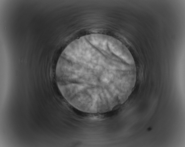 X0000083040569200703022051