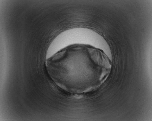 X0000083040570200703022051