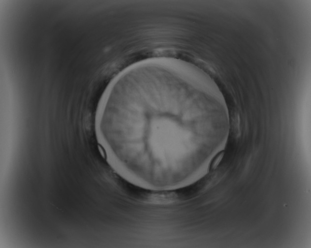 X0000083040571200703022051
