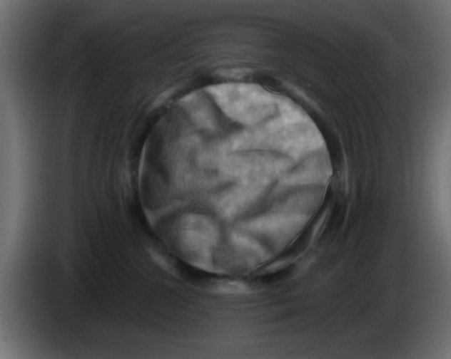 X0000083040572200703022051