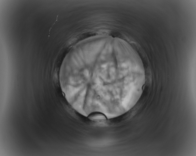 X0000083040573200703022051