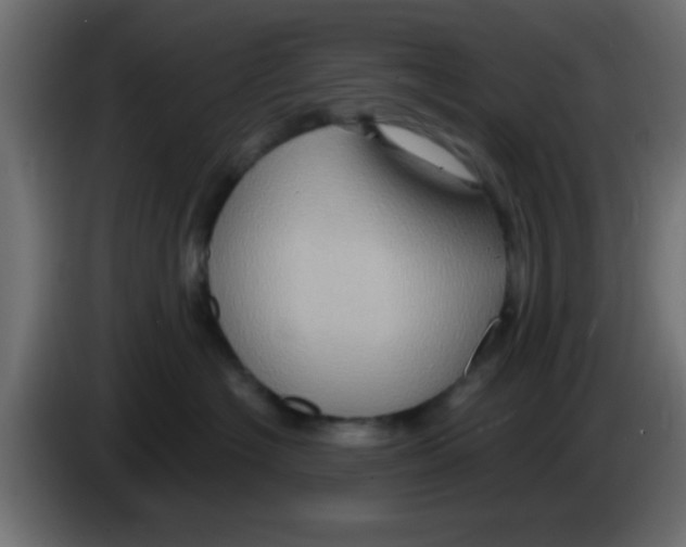 X0000083040574200703022051