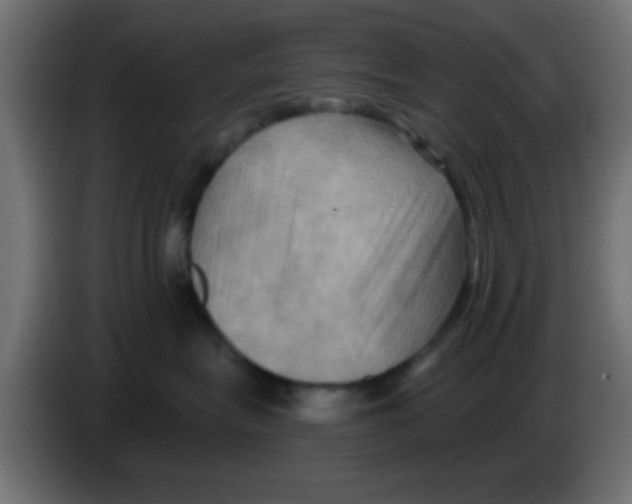 X0000083040575200703022051
