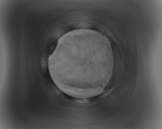 X0000083040576200703022051