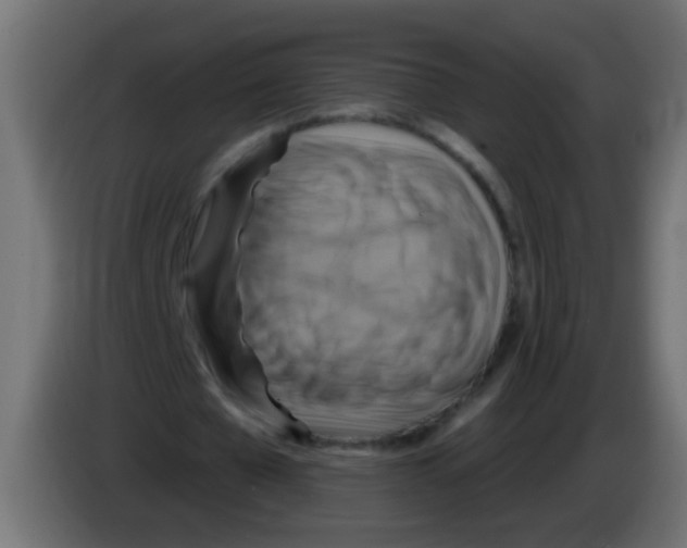 X0000083040577200703022050