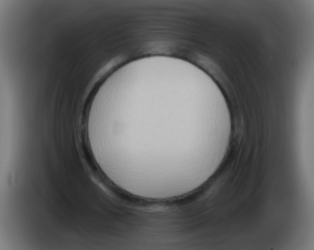 X0000083040578200703022050