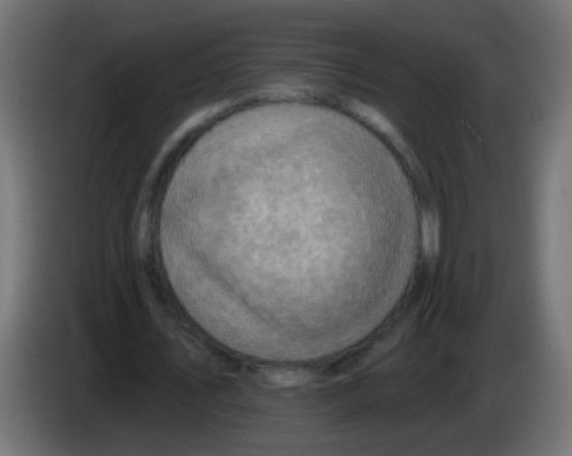 X0000083040579200703022050