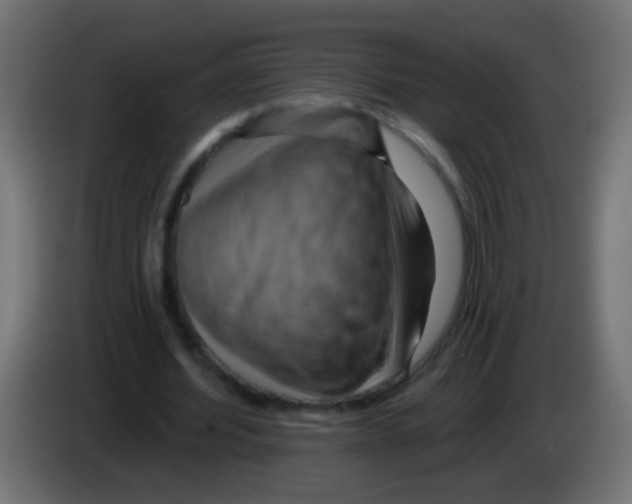 X0000083040580200703022050