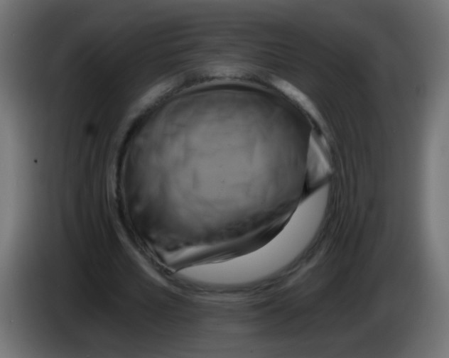 X0000083040581200703022050