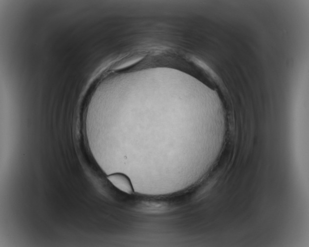 X0000083040582200703022050