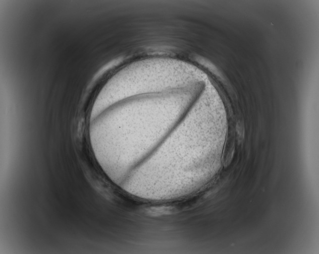 X0000083040583200703022050