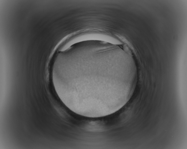 X0000083040584200703022050